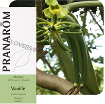  HECT香草    Wild     Vanilla fragrans Auct