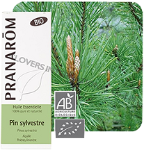 HECT歐洲赤松 BIO  Pinus sylvestris 
