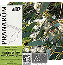 HECT多苞葉尤加利BIO  Eucalyptus polybractea