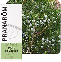 HECT北美圓柏   Wild     Juniperus virginiana