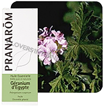 HECT埃及天竺葵Wild      Pelargonium graveolens CV Egypt  Géranium d'Egypte
