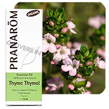 HECT百里香酚百里香BIO    Thymus vulgaris ct thymol