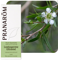 HECT檸檬松紅梅 Wild     Leptospermum petersonii